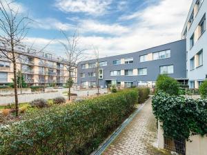 Pronájem bytu 2+kk, Praha - Žižkov, Olgy Havlové, 54 m2