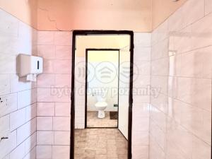 Pronájem obchodního prostoru, Vysoká - Bartultovice, 300 m2