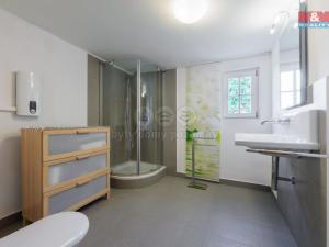Prodej rodinného domu, Dolní Žandov - Salajna, 165 m2
