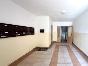 Prodej bytu 1+1, Nové Sedlo, Příčná, 34 m2