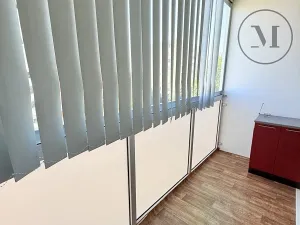 Pronájem bytu 2+kk, České Budějovice, Dlouhá, 40 m2