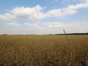 Prodej chaty, Kozojedy, 66 m2