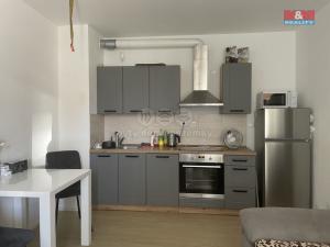Pronájem bytu 1+kk, České Budějovice - České Budějovice 6, Nádražní, 27 m2