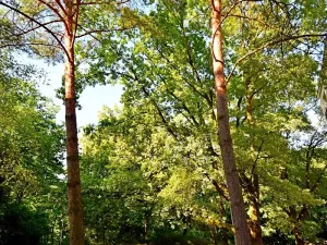 Pronájem bytu 1+kk, Praha - Veleslavín, Šumberova, 26 m2