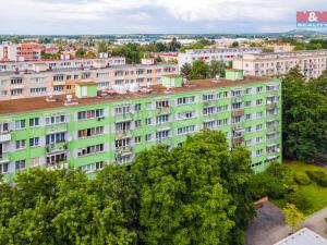 Pronájem bytu 1+kk, Pardubice - Polabiny, Kosmonautů, 27 m2