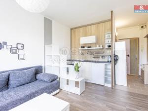 Pronájem bytu 1+kk, Cvikov - Cvikov II, Sídliště, 20 m2