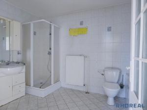 Prodej rodinného domu, Dolní Dvořiště, 430 m2