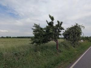 Prodej podílu pozemku pro bydlení, Úvaly, 131 m2