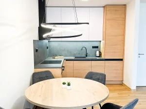 Pronájem bytu 2+kk, Ostrava, U Hájenky, 61 m2