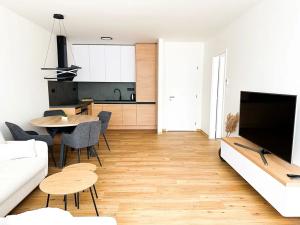 Pronájem bytu 2+kk, Ostrava, U Hájenky, 61 m2