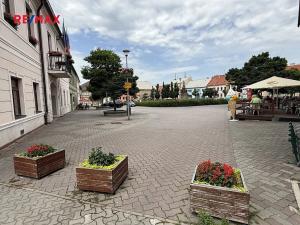 Prodej obchodního prostoru, Doksy, Panská, 300 m2