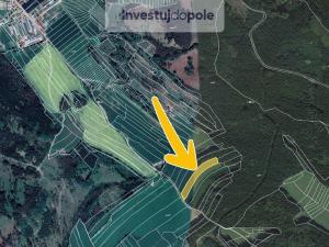 Prodej louky, Kadolec, 8821 m2