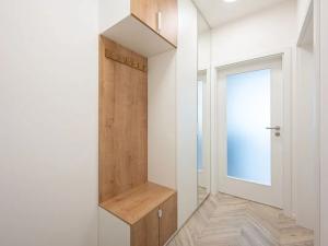 Pronájem bytu 1+kk, Brno, Cejl, 30 m2