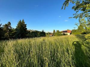 Prodej pozemku pro bydlení, Praha - Lysolaje, Starodvorská, 1445 m2