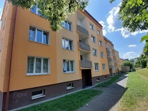 Prodej bytu 3+1, Cheb, Boženy Němcové, 61 m2