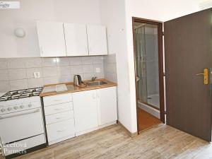 Prodej rodinného domu, Plzeň - Východní Předměstí, Slovanská, 870 m2