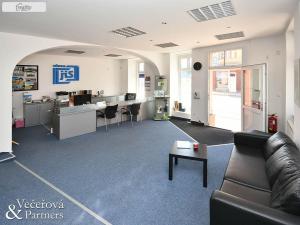 Prodej rodinného domu, Plzeň - Východní Předměstí, Slovanská, 870 m2