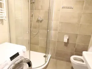 Pronájem bytu 1+kk, Praha - Michle, Hadovitá, 40 m2