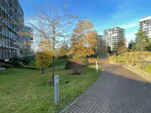 Pronájem bytu 1+kk, Praha - Žižkov, Ke kapslovně, 52 m2