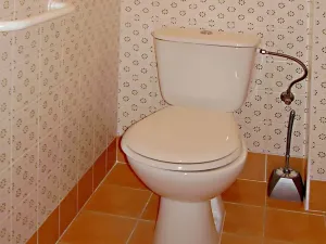Pronájem rodinného domu, Praha - Břevnov, Na zástřelu, 297 m2