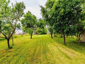 Prodej chalupy, Studená, 168 m2