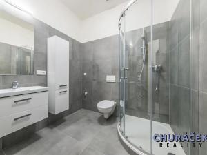 Pronájem bytu 1+kk, Praha - Libeň, V zahradách, 24 m2
