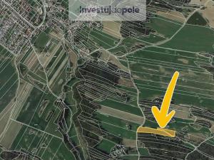 Prodej lesa, Trnava, 4245 m2