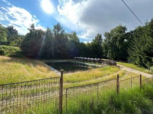 Prodej rodinného domu, Bílý Kostel nad Nisou, 226 m2