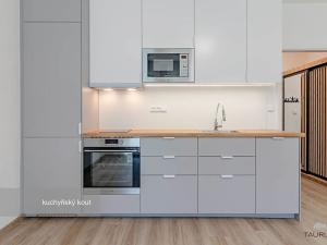 Pronájem bytu 1+kk, Plzeň, Tachovská, 27 m2