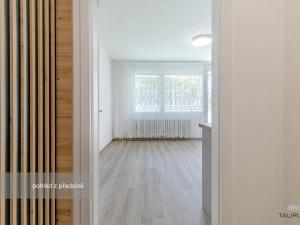 Pronájem bytu 1+kk, Plzeň, Tachovská, 27 m2