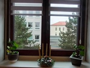Pronájem bytu 2+1, Česká Lípa, Arbesova, 74 m2