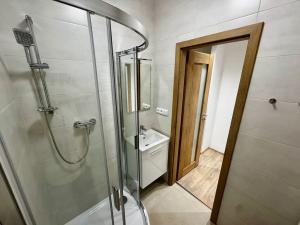 Pronájem bytu 3+1, Vysoké Mýto, Rokycanova, 67 m2