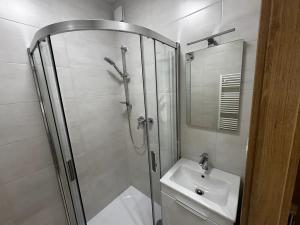 Pronájem bytu 3+1, Vysoké Mýto, Rokycanova, 67 m2