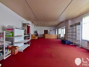 Prodej komerční nemovitosti, Nové Město na Moravě, 230 m2