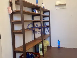Prodej rodinného domu, Bzenec, Úkolky, 180 m2