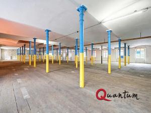 Prodej obchodního prostoru, Janská, 4600 m2