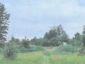 Dražba rodinného domu, Týn nad Vltavou, 435 m2