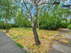 Prodej bytu 3+kk, Praha - Strašnice, Pod strání, 60 m2