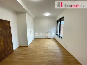 Pronájem bytu 1+kk, Praha - Břevnov, Bělohorská, 30 m2