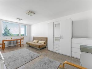 Prodej bytu 1+kk, Praha, Červenkova, 34 m2