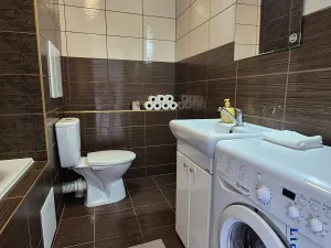 Pronájem bytu 1+1, Frýdek-Místek, Mánesova, 42 m2