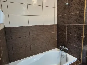 Pronájem bytu 1+1, Frýdek-Místek, Mánesova, 42 m2