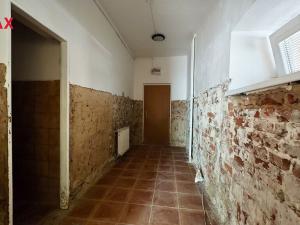 Prodej obchodního prostoru, Opava - Předměstí, Pekařská, 37 m2