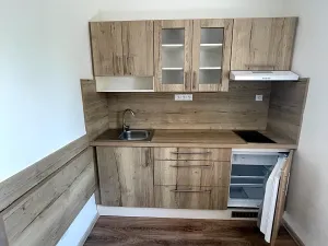 Pronájem bytu 1+1, Frýdek-Místek, Hutní, 37 m2
