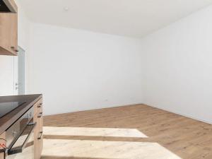 Pronájem bytu 1+kk, Ostrava, Palackého, 25 m2