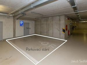 Pronájem bytu 4+kk, Praha - Žižkov, Kališnická, 112 m2