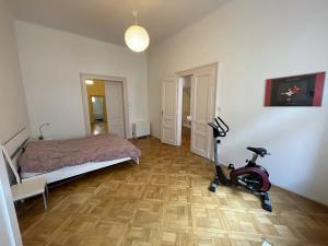 Pronájem bytu 4+1, Praha - Smíchov, Na bělidle, 109 m2