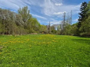 Prodej vily, Nučice, V Hlubokém, 300 m2