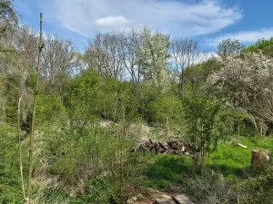 Prodej vily, Nučice, V Hlubokém, 300 m2