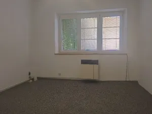 Pronájem bytu 2+1, Česká, 55 m2